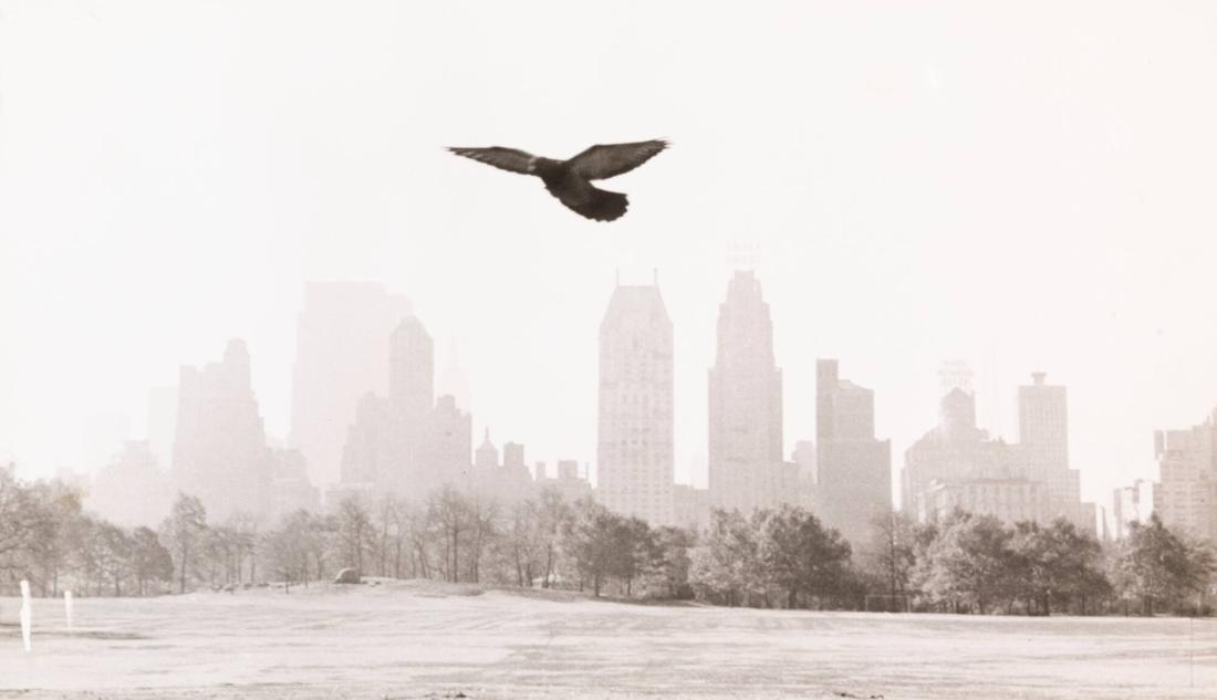 Central Park, New York