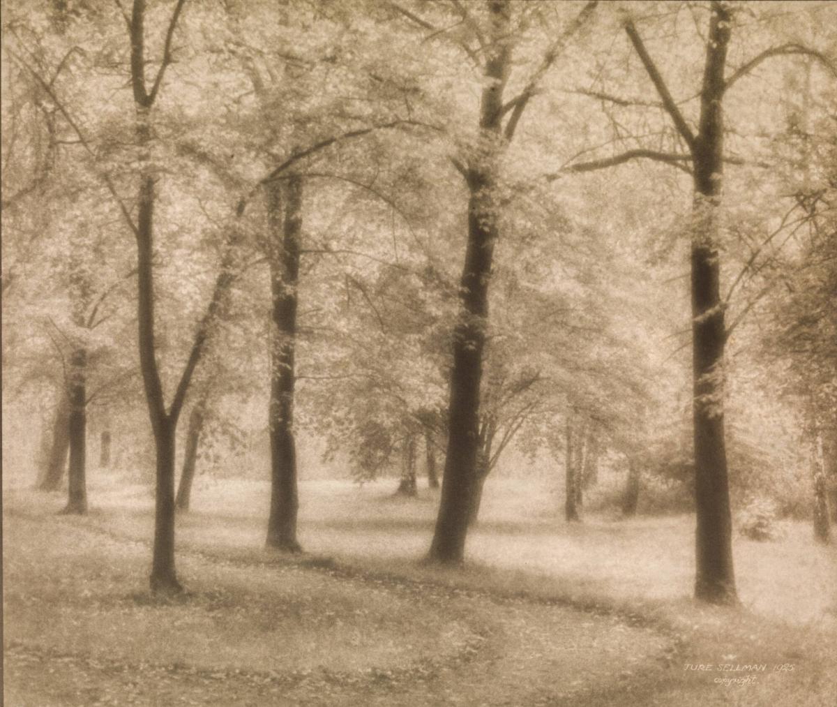 Hagaparken, Stockholm