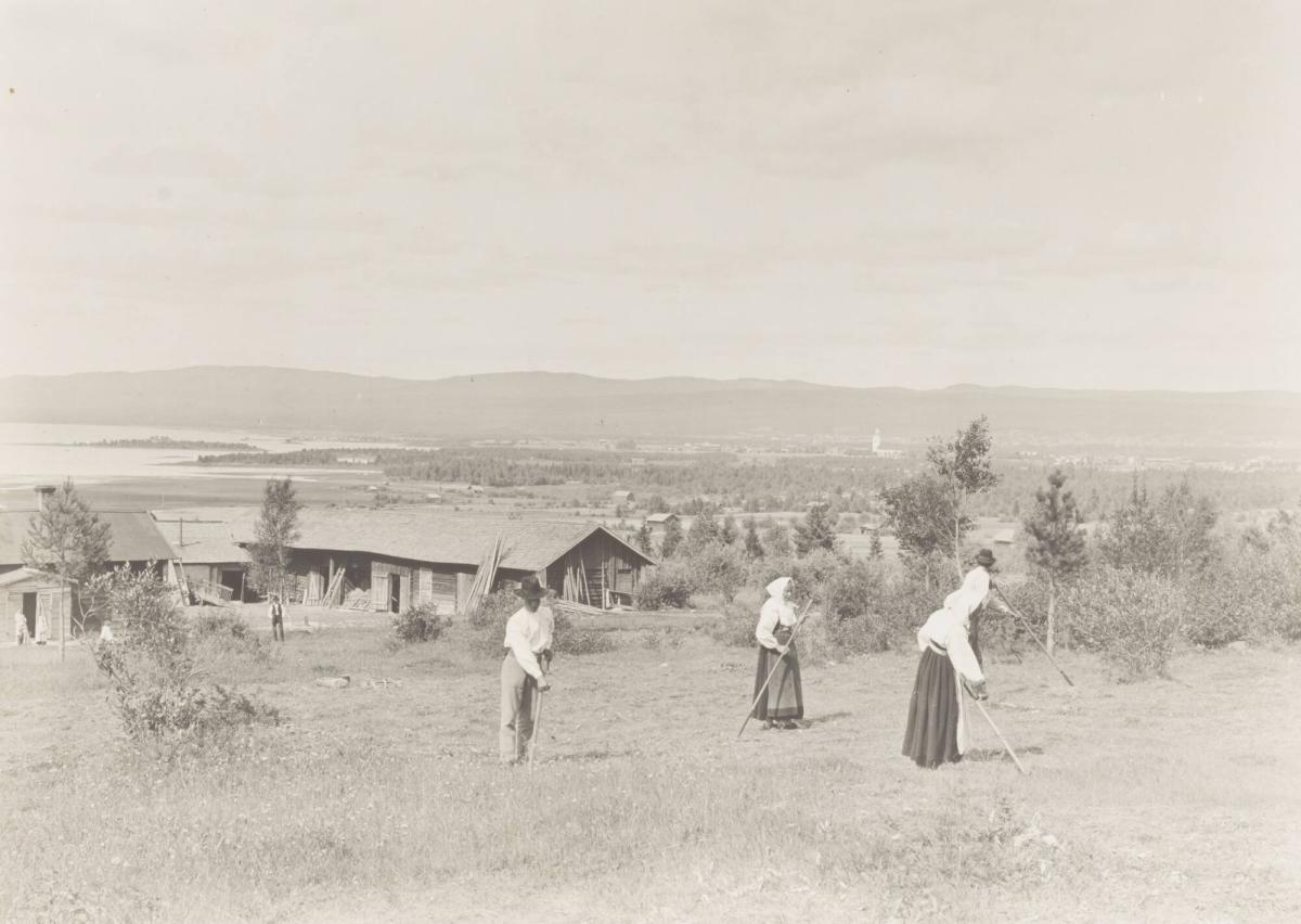 Fäbod
