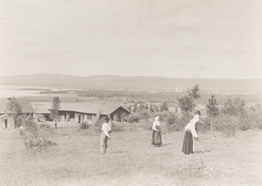 Fäbod