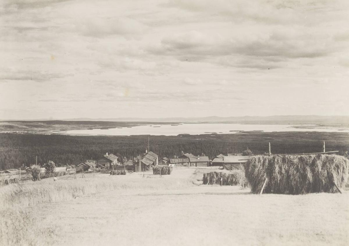 Fäbodar