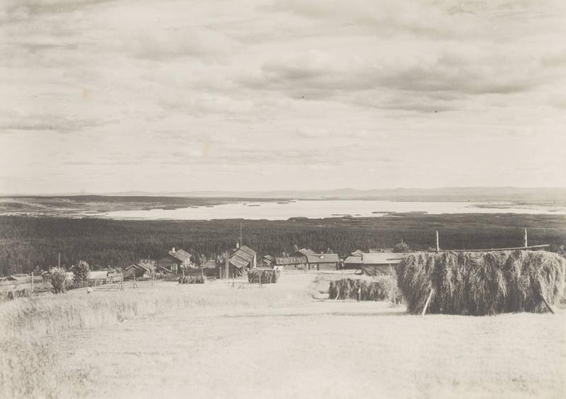 Fäbodar