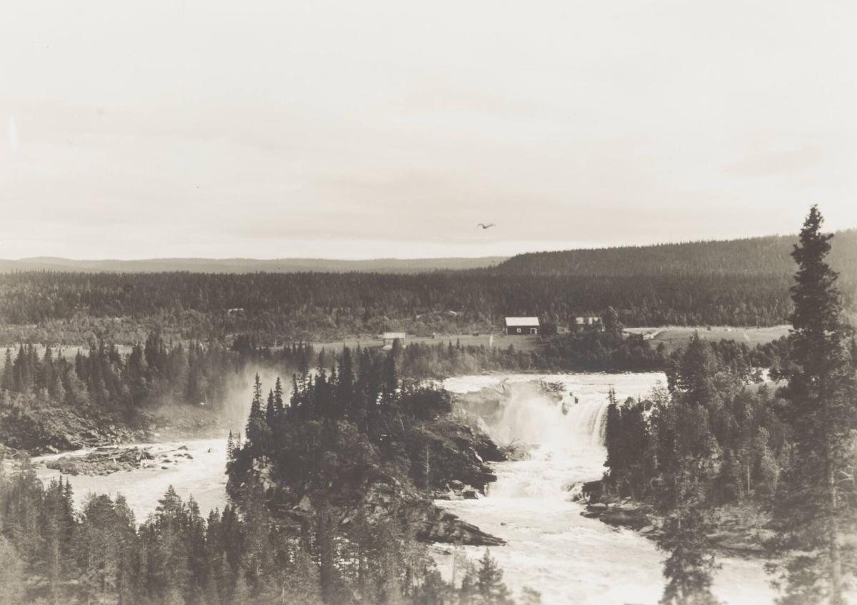Fällforsen i Ume Älv