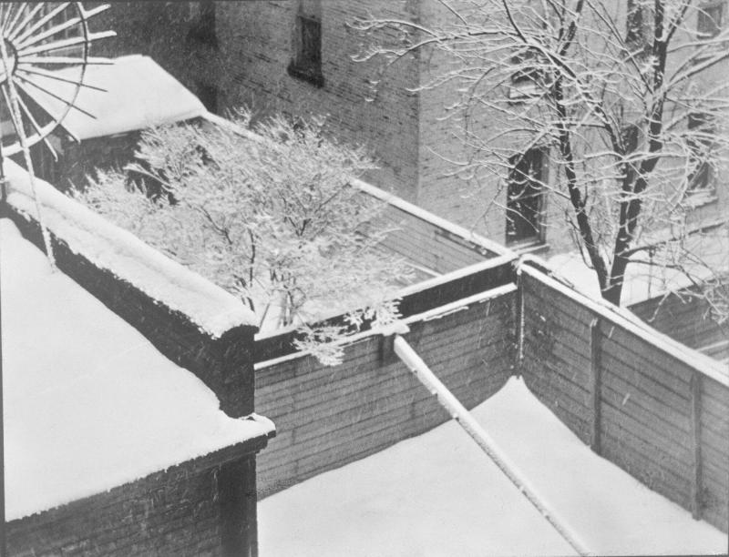 Snow, Backyards