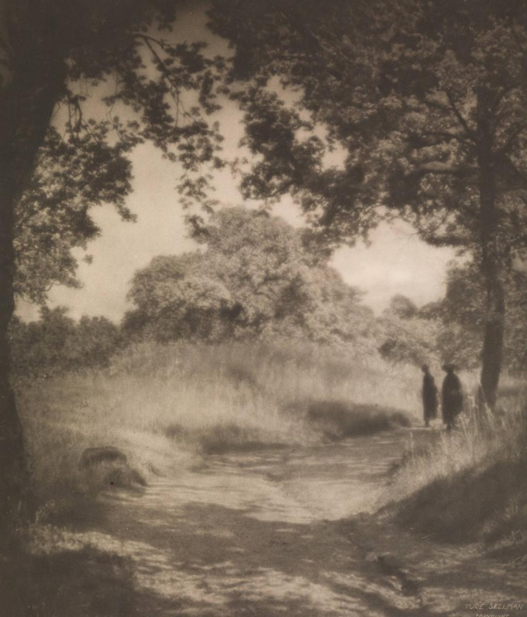 "The Park"