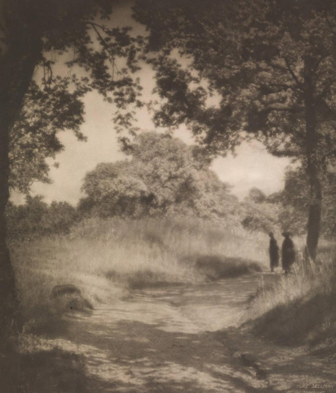 "The Park"