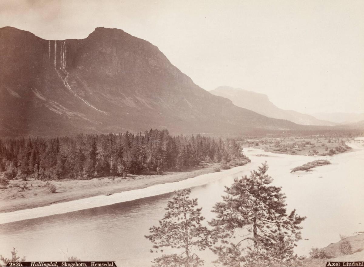 Hallingdal, Skogshorn, Hemsedal