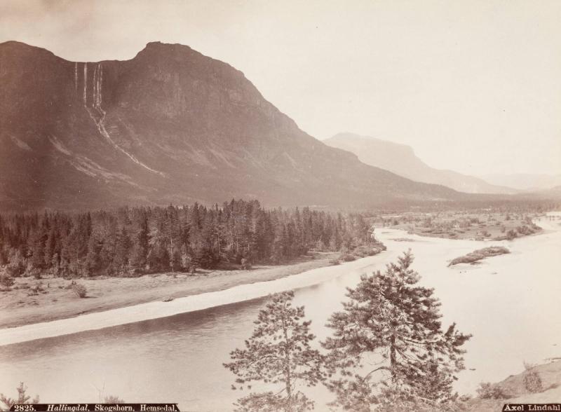 Hallingdal, Skogshorn, Hemsedal