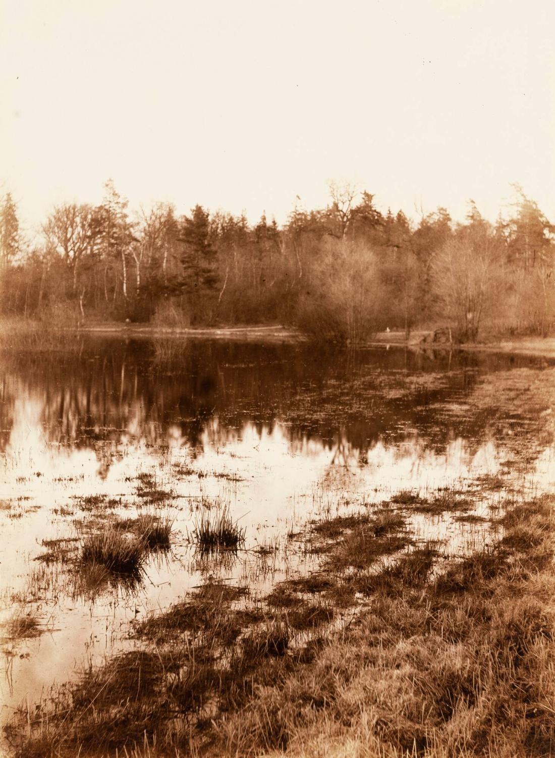 Landskapstudie, tidig vår