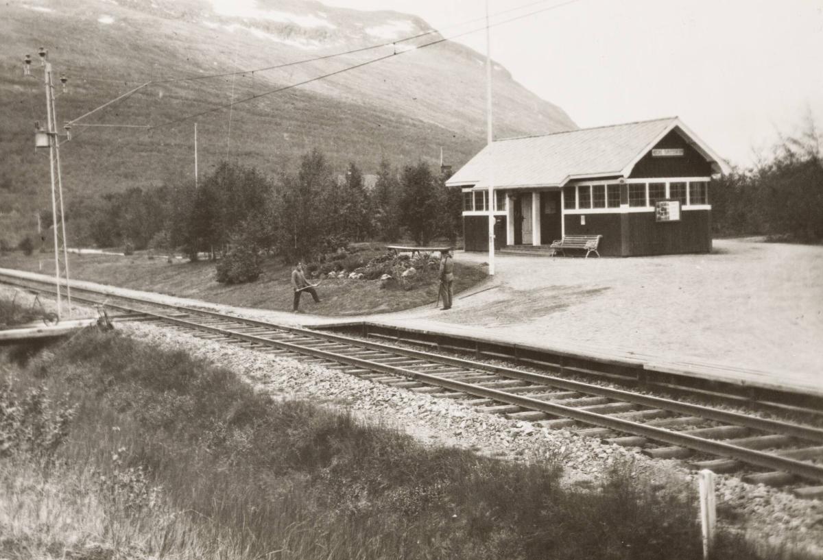 Abisko Turiststation 68° 2o' n. L, Lappland