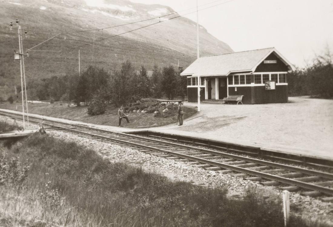 Abisko Turiststation 68° 2o' n. L, Lappland