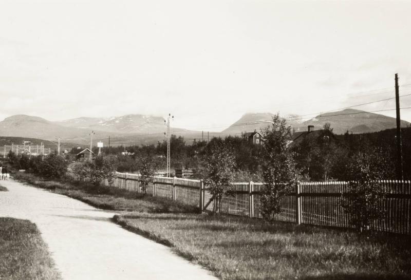 Stationsplantering vid Abisko 68°, 20' n.L. Lappland
