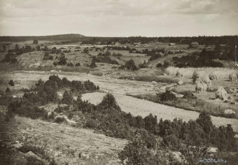 Agricultural landscape middle Sweden