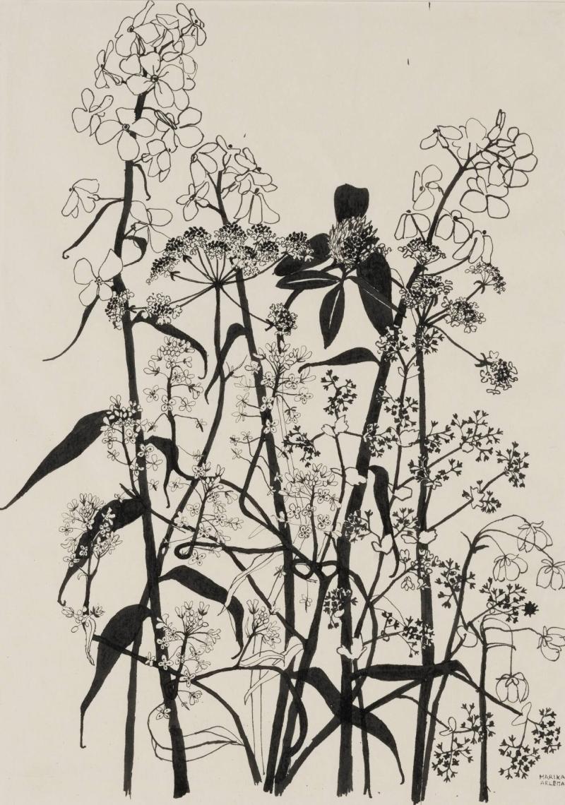 Midsommarblommor