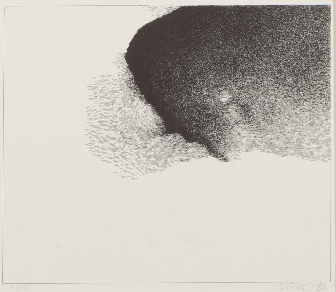 Klara dagen mörka natten