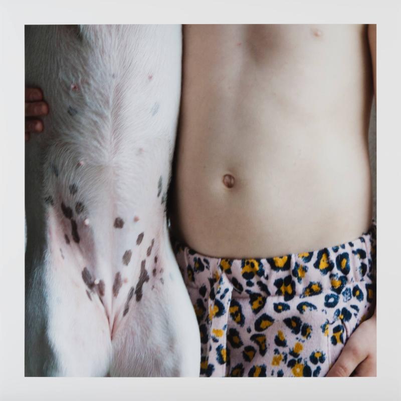 Mammals 1. Ur serien Mammals
