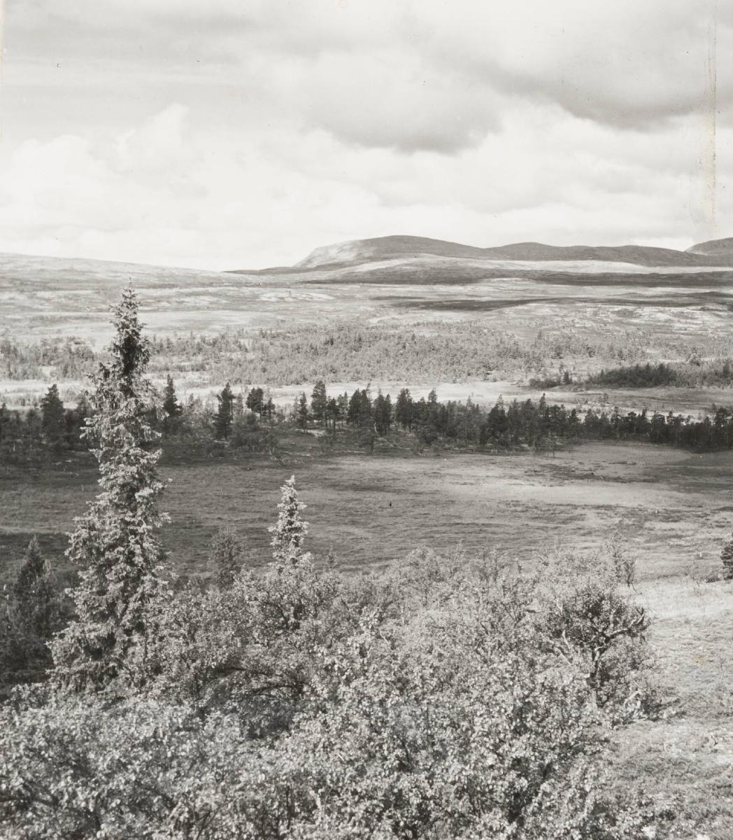 Dalarna ...fjället sett från platsen för Grövelsjöns turiststation den 1 juli 1937