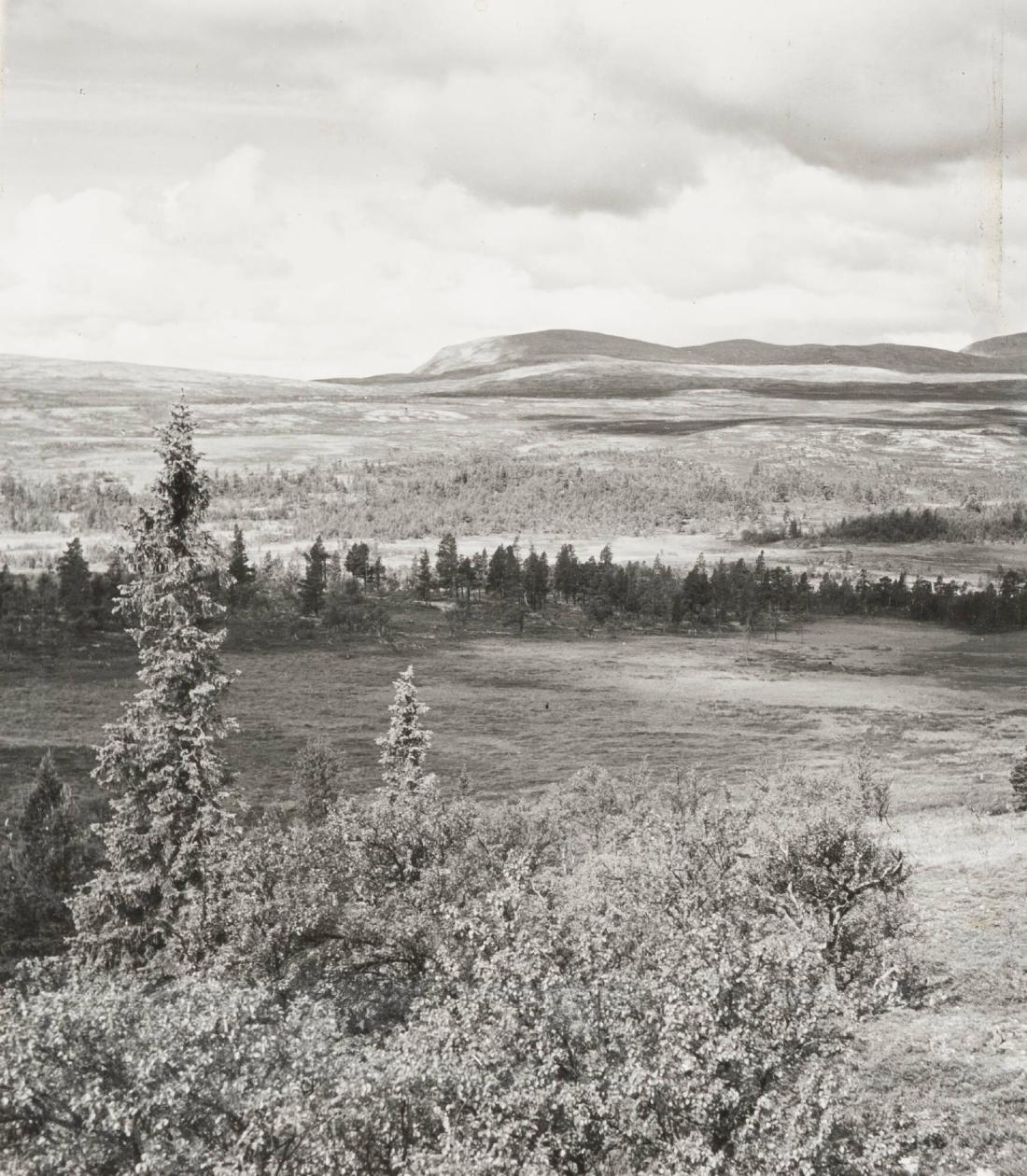 Dalarna ...fjället sett från platsen för Grövelsjöns turiststation den 1 juli 1937