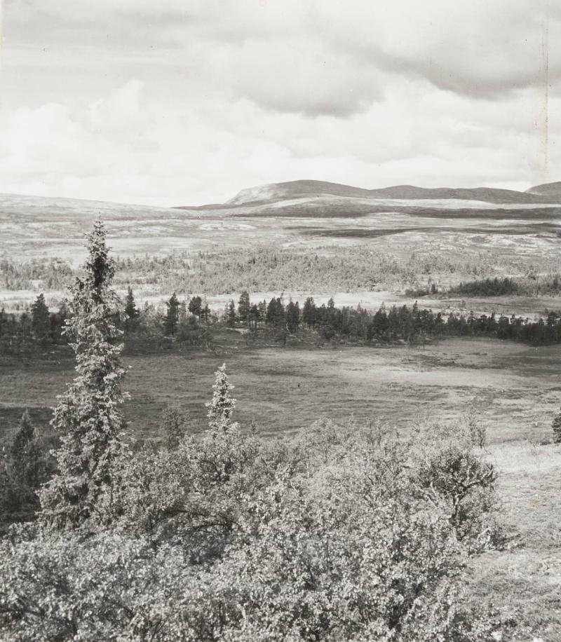 Dalarna ...fjället sett från platsen för Grövelsjöns turiststation den 1 juli 1937