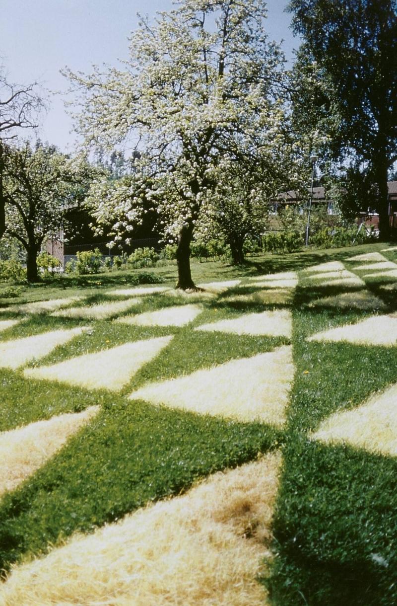 Foto:Gunilla Wihlborg