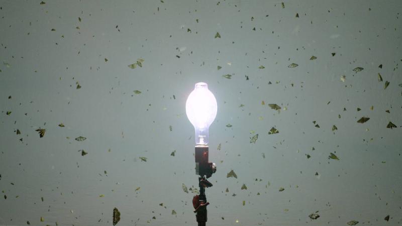 Stillbild från galleriet