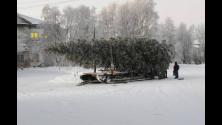 Webbtillgänglig