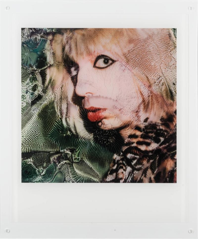 SX-70 Polaroid - Porträtt av konstnären i transexuell förvandling #2