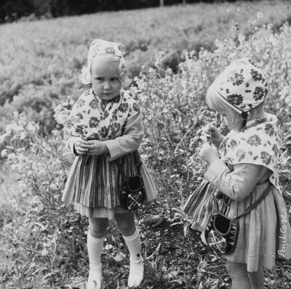 Dalarna: Små-kullor plocka blommor