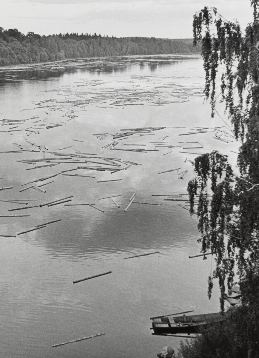 Timmer i Dalälven. Dalarna