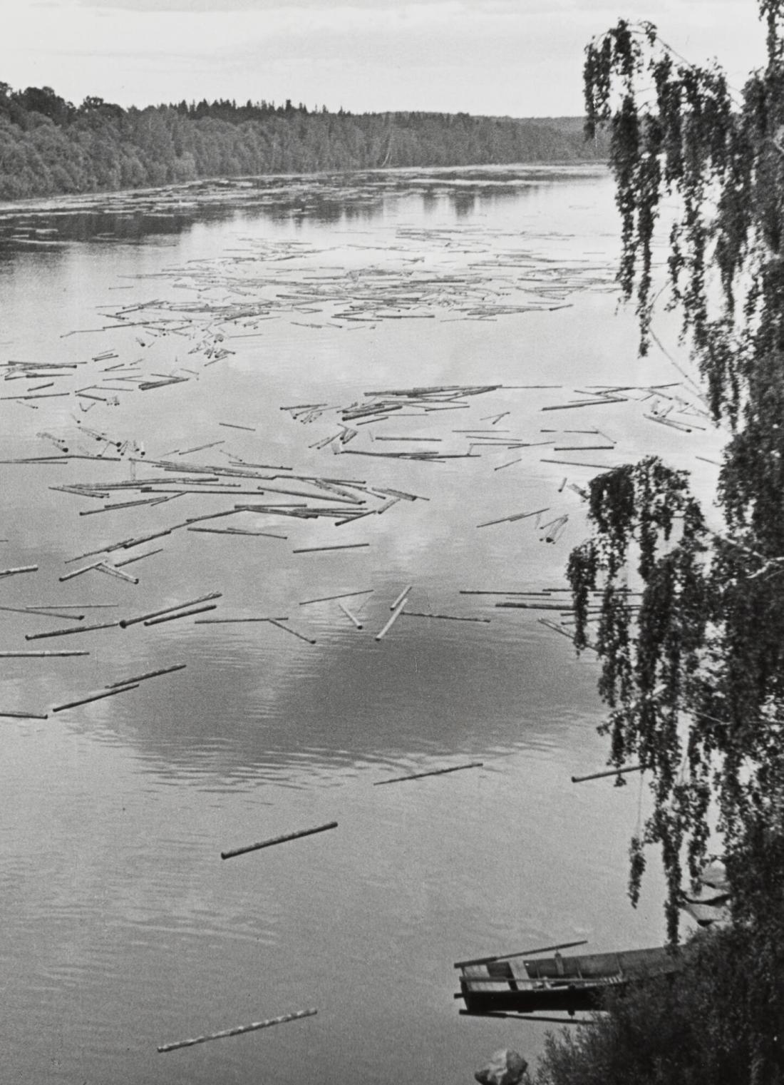 Timmer i Dalälven. Dalarna