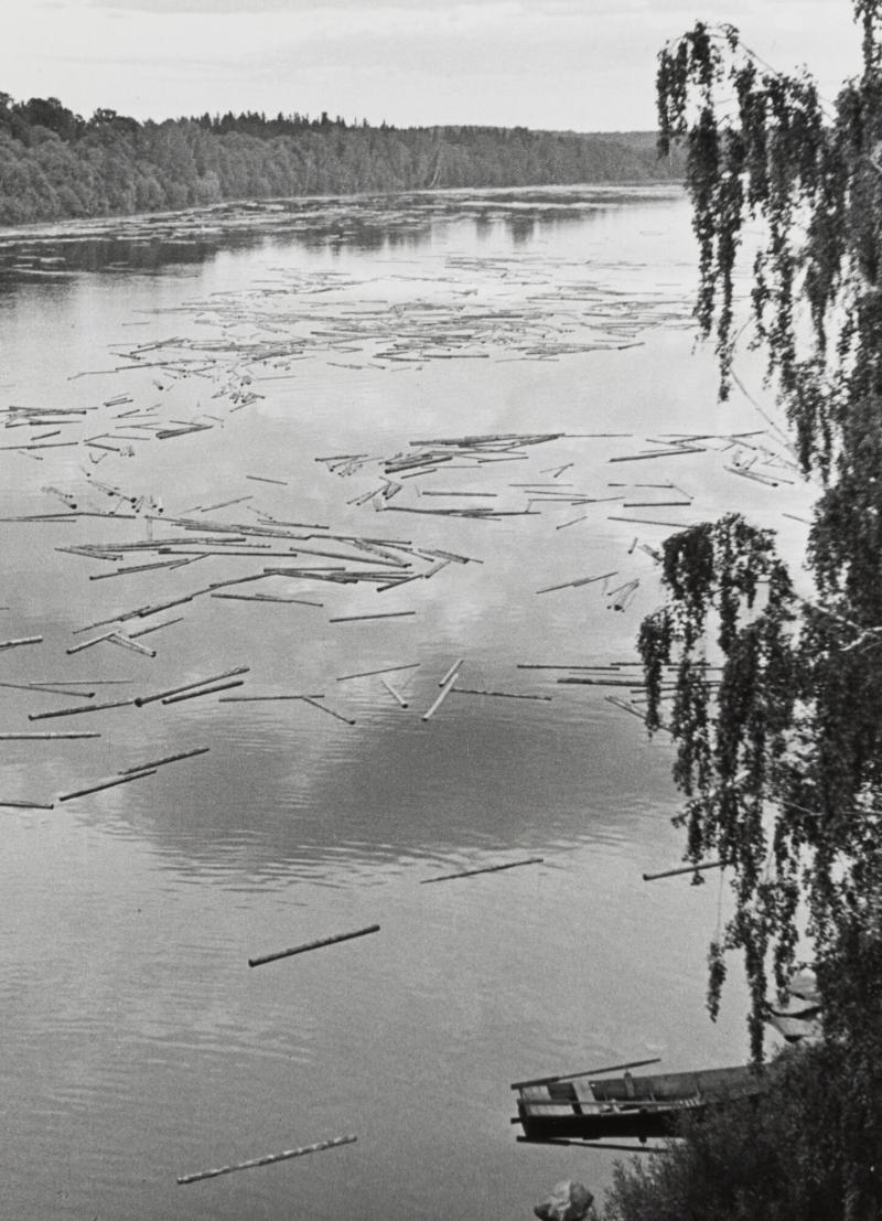 Timmer i Dalälven. Dalarna