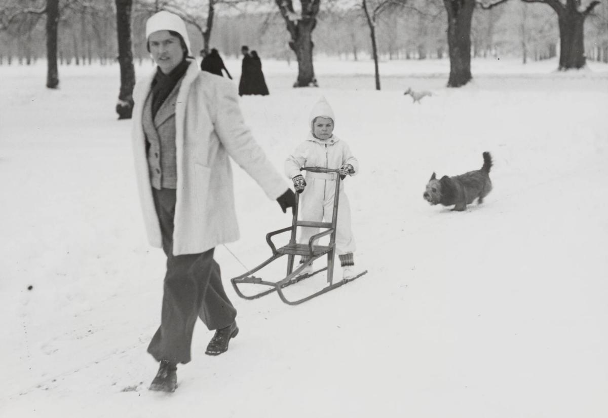 I Drottningholmens parken