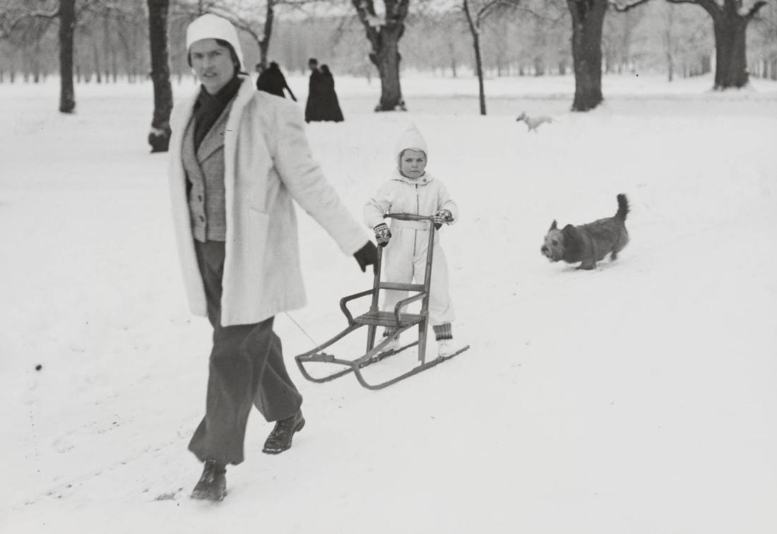 I Drottningholmens parken