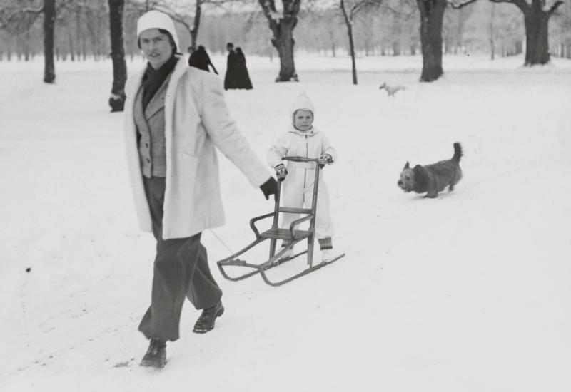 I Drottningholmens parken
