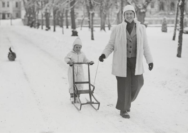 I Drottningholmens parken