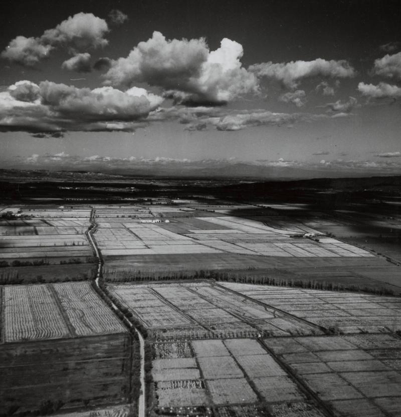 Arles, les Rizceres. Vue aerienne
