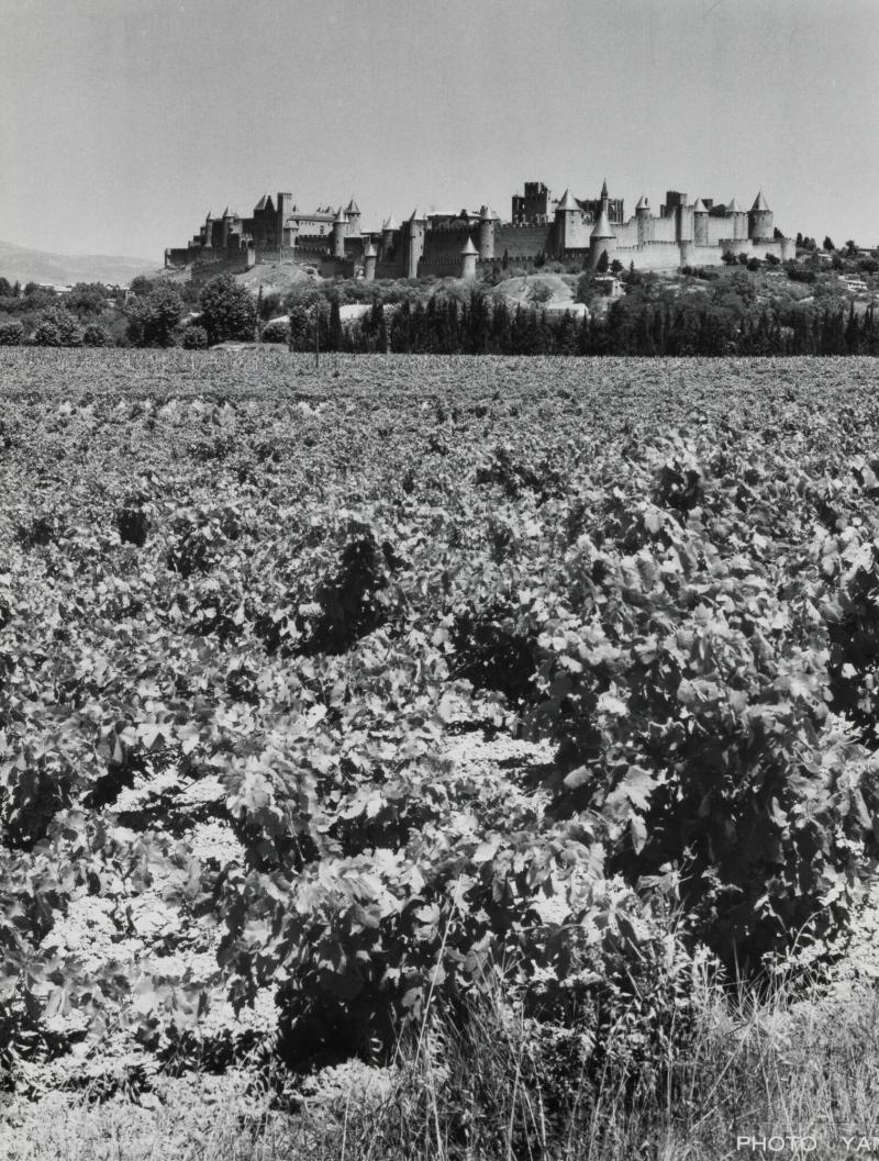 La cité de Carcassonne