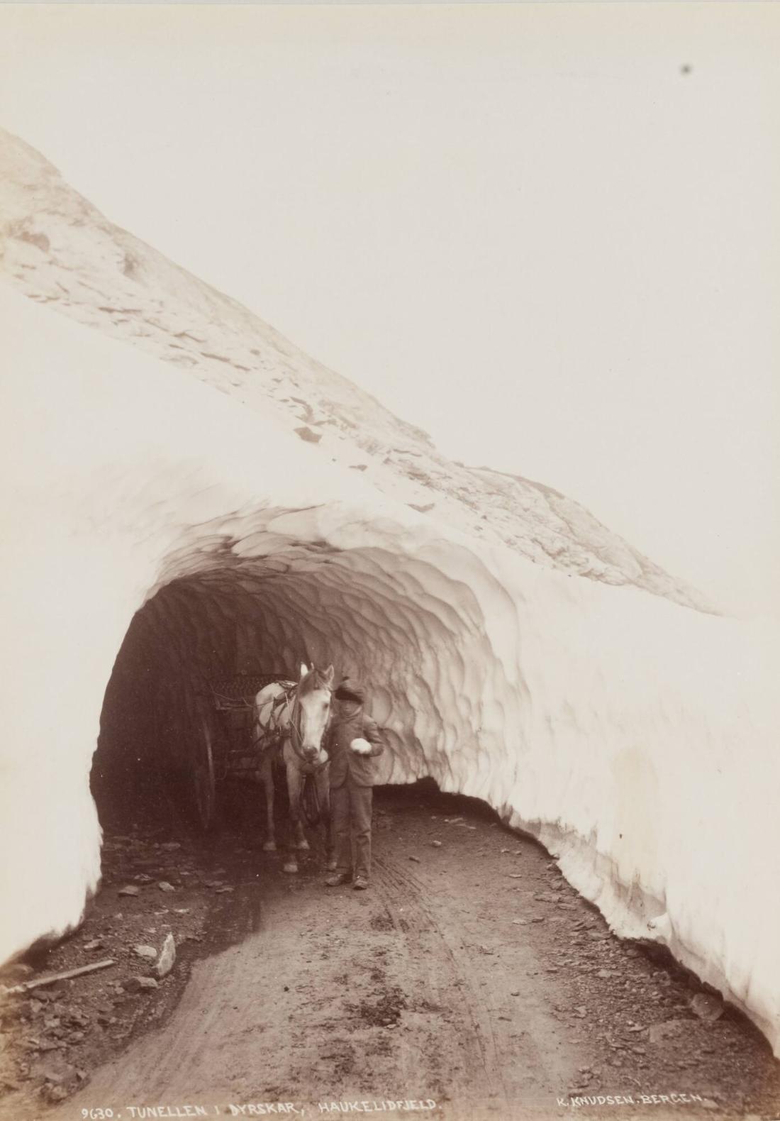 Tunnellen i Dyrskar, Hankelidfjeld