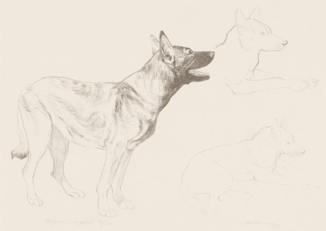 Schäferhund