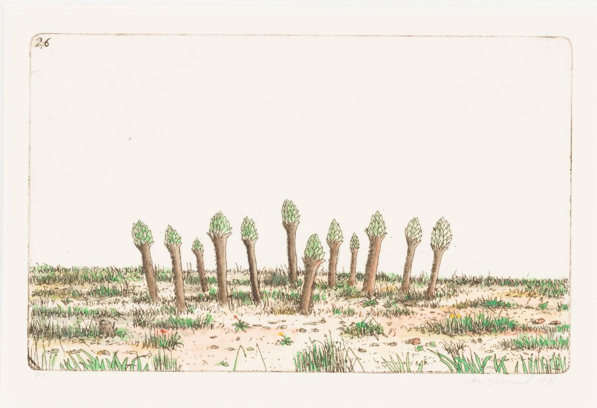 Nr 26: Träden vid de gula prickarna på 20.