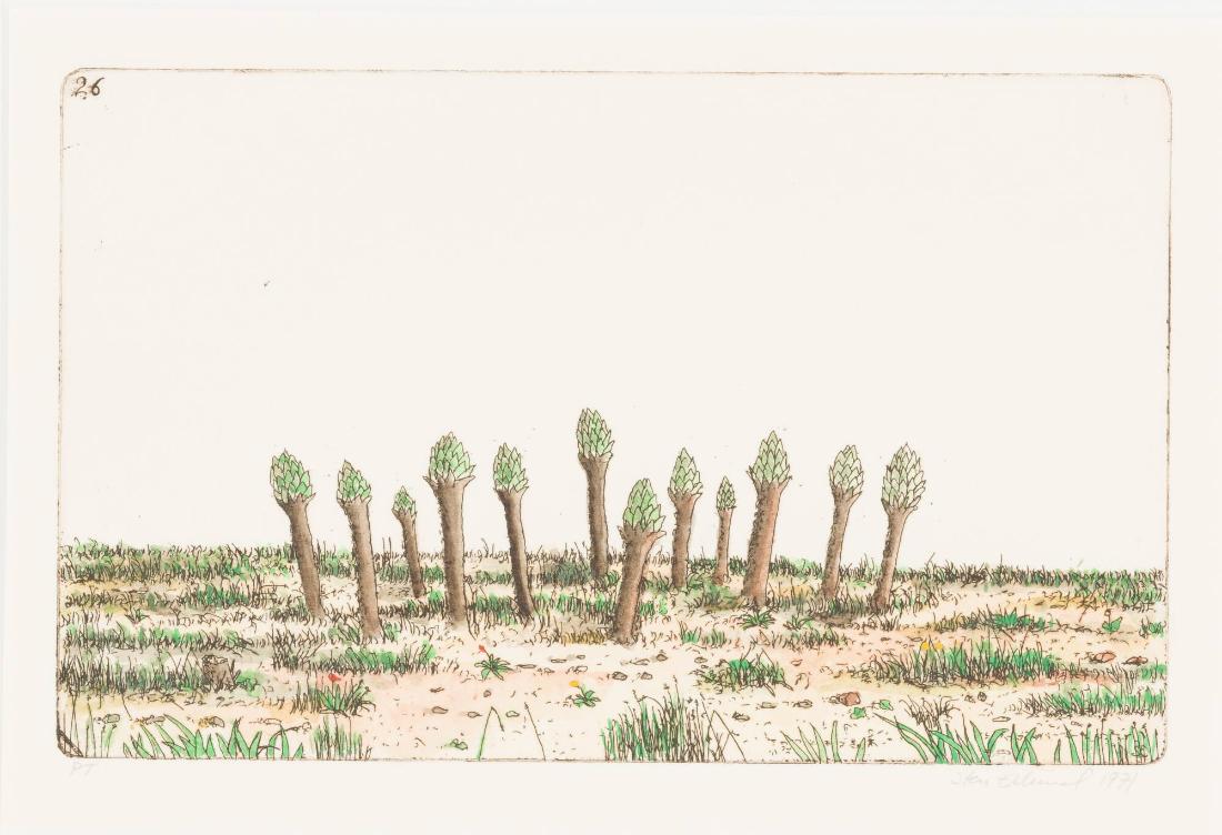 Nr 26: Träden vid de gula prickarna på 20.