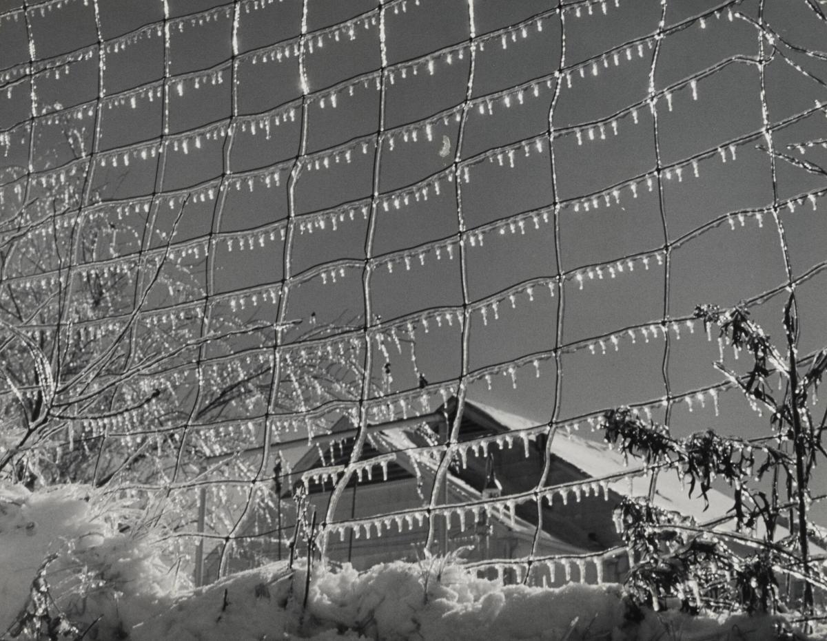 Iced Fence