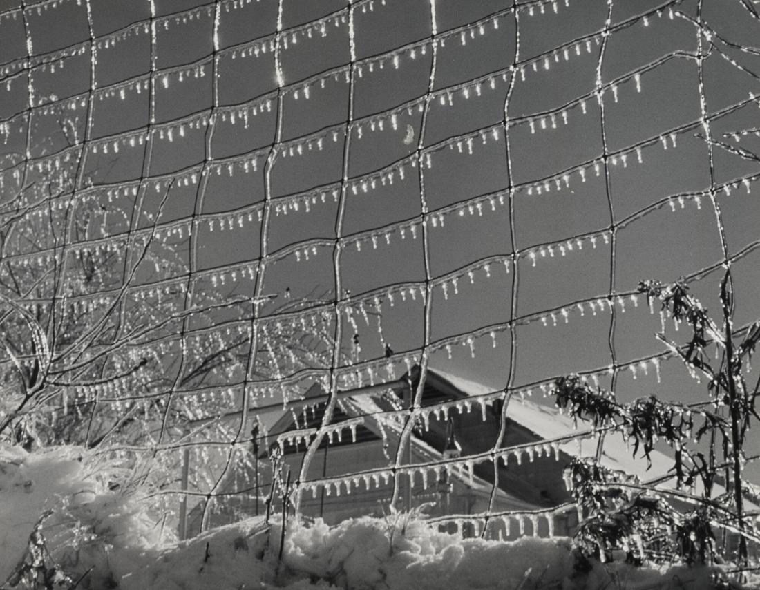 Iced Fence