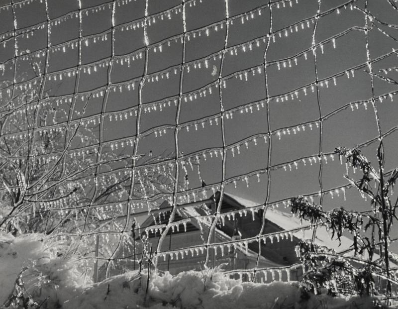 Iced Fence