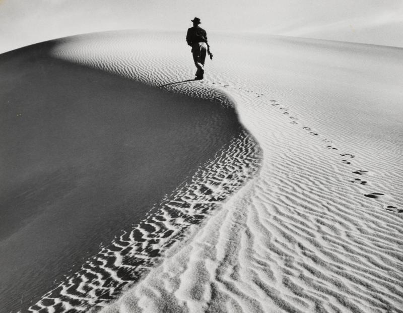 Dune Climber
