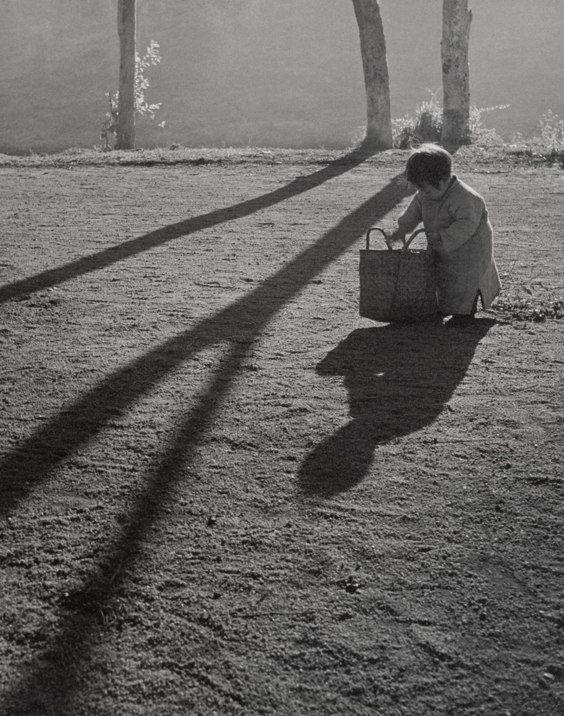 Morning Shadows