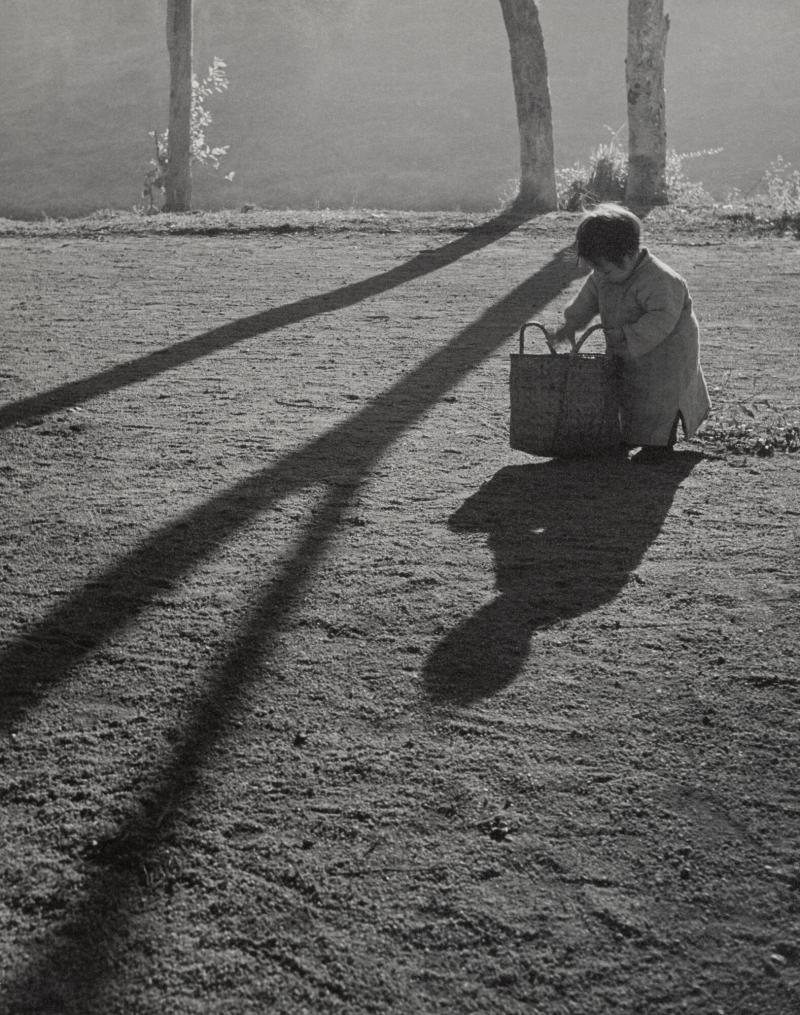 Morning Shadows