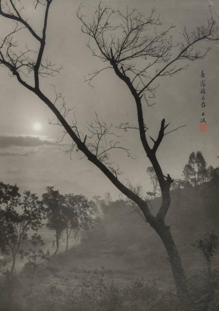 The Morning Mist at Toishan