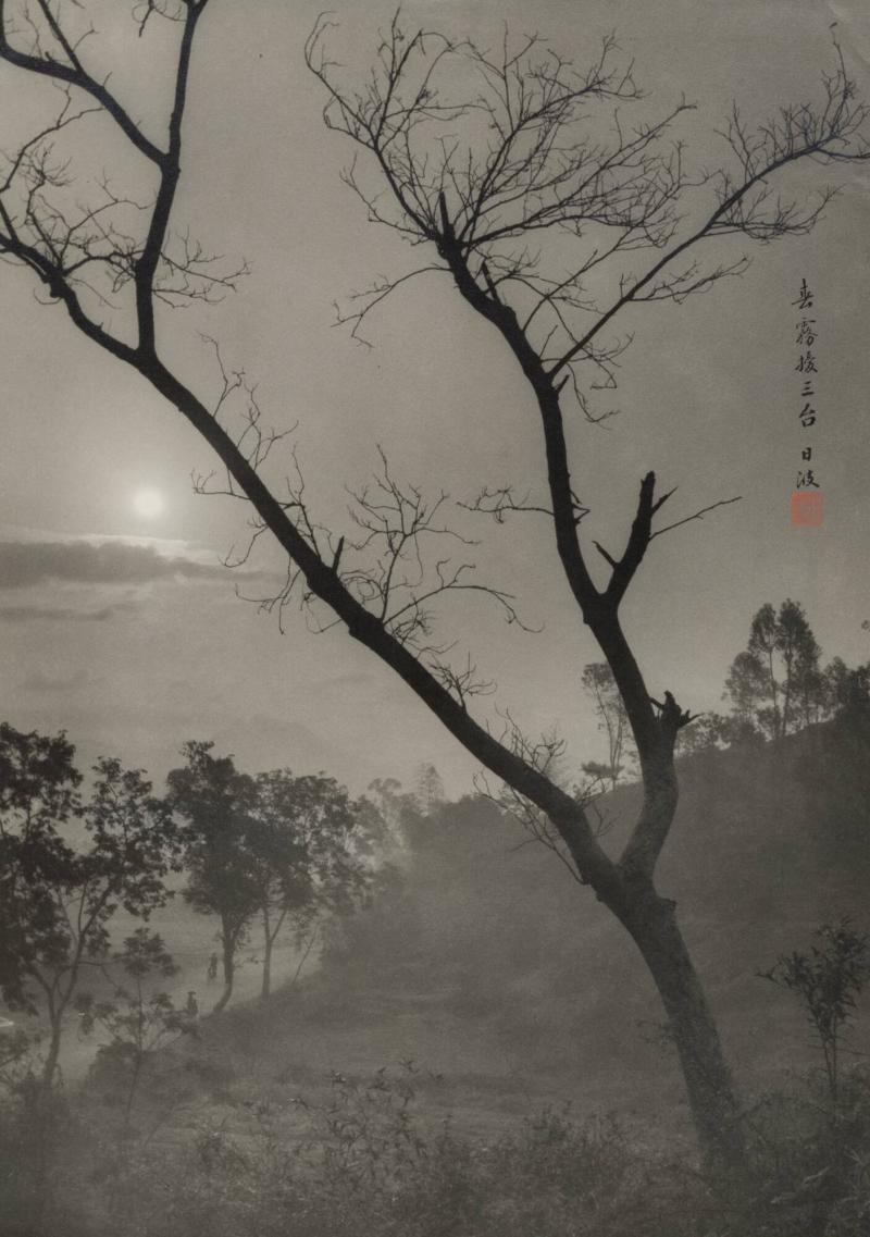 The Morning Mist at Toishan