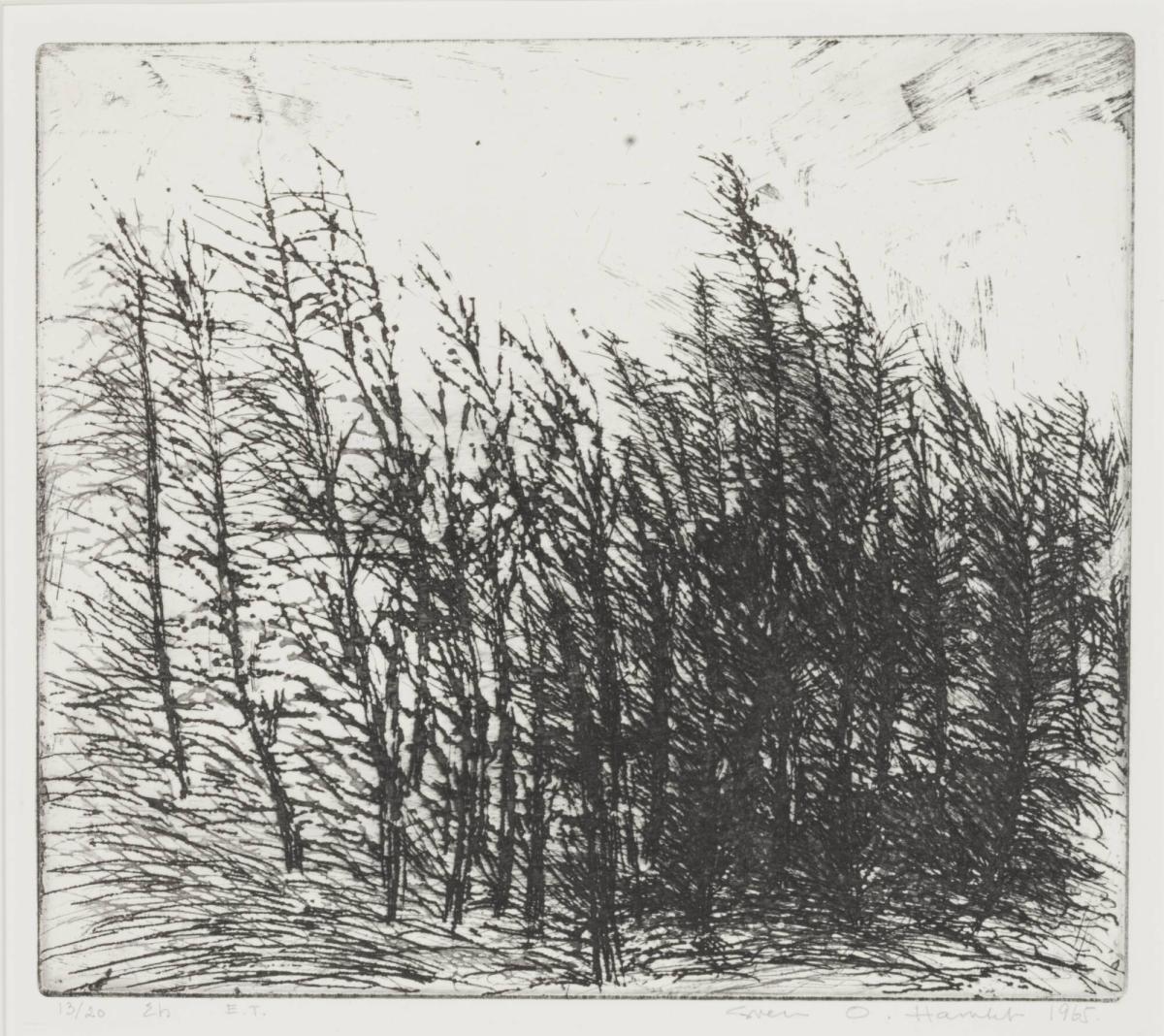 Skog i stormen